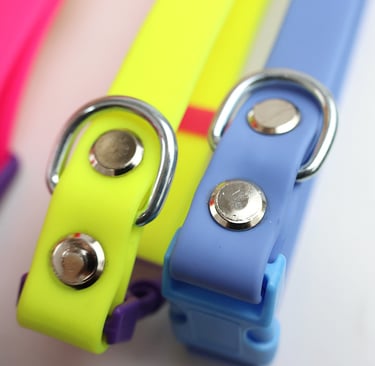Dog Collar