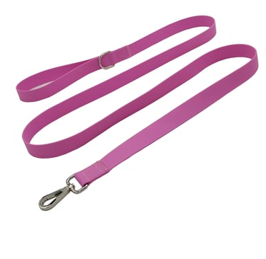 Dog Leash