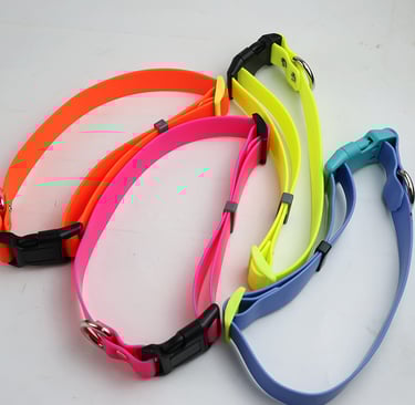 Dog Collar