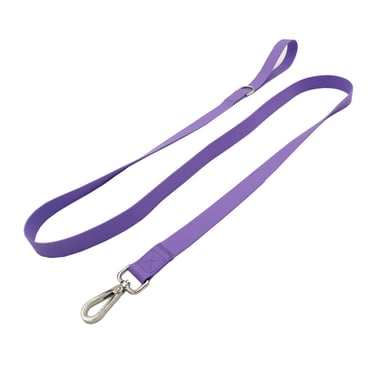 Dog Leash