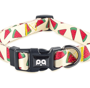 Dog Collar