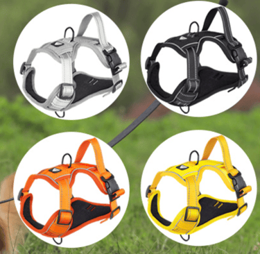 Dog Harness