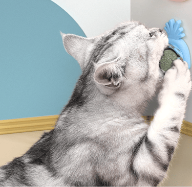 Catnip Ball