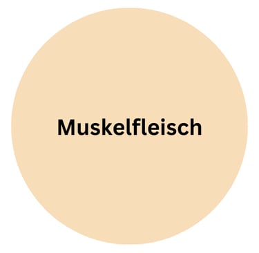 Rind Muskelfleisch