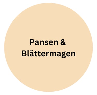 Rind Pansen & Blättermagen