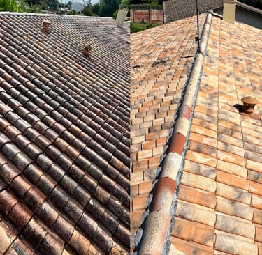 Toiture nettoyage vapeur