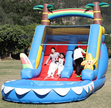 21FT(L) Commercial Water Slide for Adults Kids, 100% PVC Inflatable Adult Water Slide with 950W Blow
