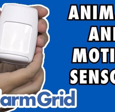 outdoor motion sensor