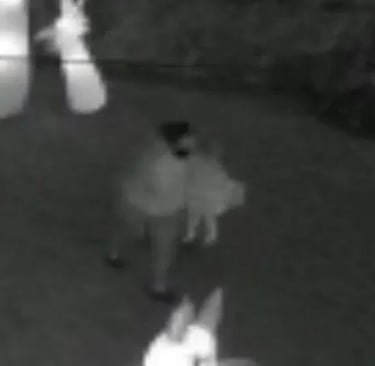 Security camera catches Halloween theft at night.