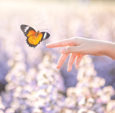 Sesiones Neurocoaching Online