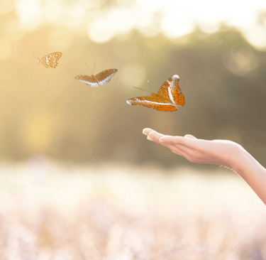 Sesiones Neurocoaching Online