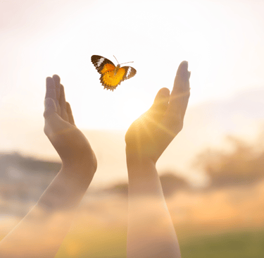 Sesiones Neurocoaching Online