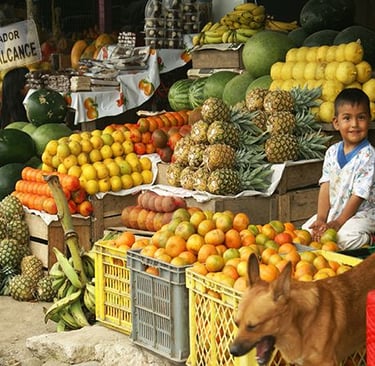 Fruits from Ecuador witha kid smiling to the camera