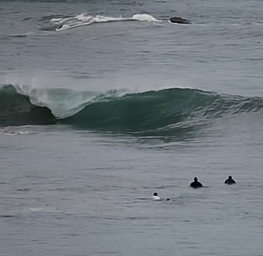 group of surfers in the water staring at a perfect left