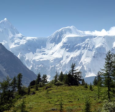 The Altai Mountains are a place where four countries meet.