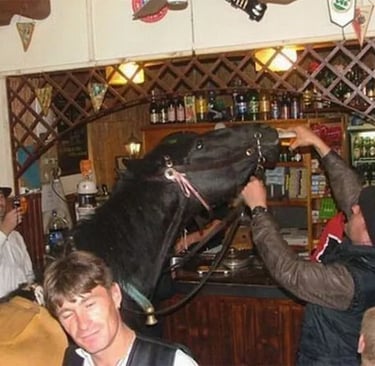 A horse walked into a bar and chugged a beer