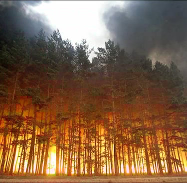 For the last three summers, wildfires have raged in Siberia