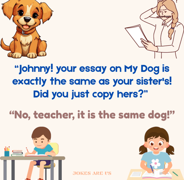 A joke where Johnny states his essay on my dog matches his sister's because they share the same dog