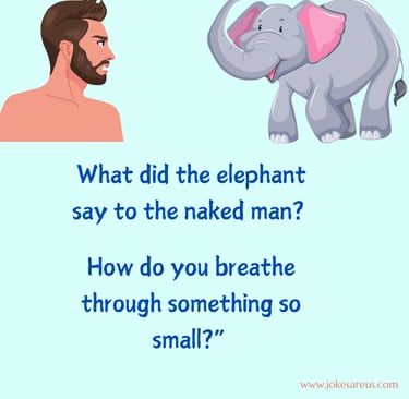 Q. What did the elephant say to the naked man? A. "How do you breathe through something so small?”