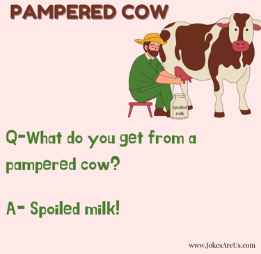 Cow Joke...What do you get from a pampered cow? Spoiled milk!