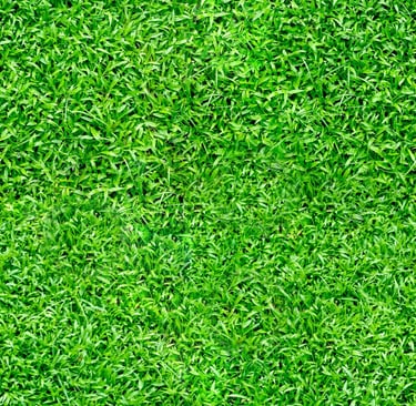 Seass grass texture pbr albedo grass texture