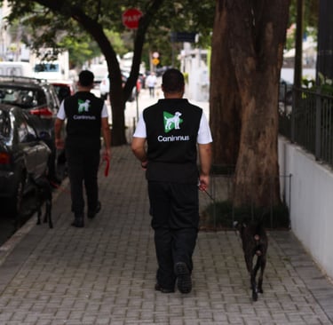 Dogwalking passeando com dois caes