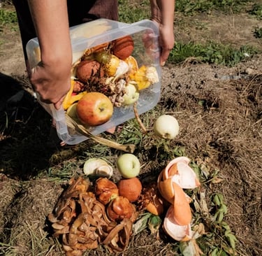 a person holding a plastic container filled with food