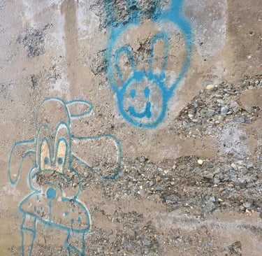 graffit removal maryland va dc