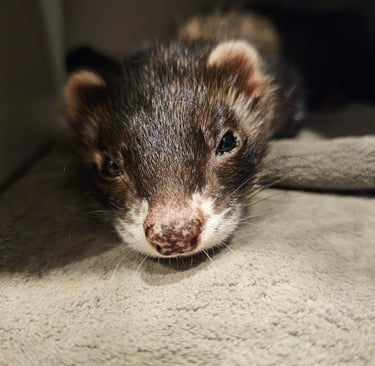 Même les plus petits comme Kiki ont droit à leur moment zen