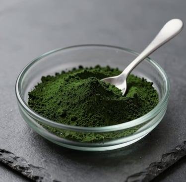 A pristine glass dish containing high-grade deep green spirulina powder with a minimalist stainless steel spoon on a sterile slate-colored surface.