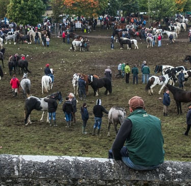 A crowded traditional horse fair in a muddy field with people trading various horse breeds.
