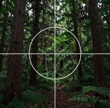 Close-up of a technician inspecting a hornet nest with advanced protective gear in a forest setting.