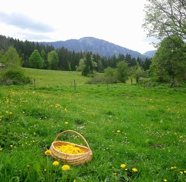 Tisanes des Jardins du Mont d'Or avec nos fondues : la digestion parfaite à La Petite Échelle.