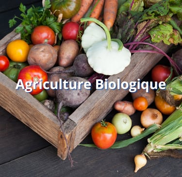 agriculture biologique