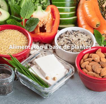 Alimentation à base de plantes