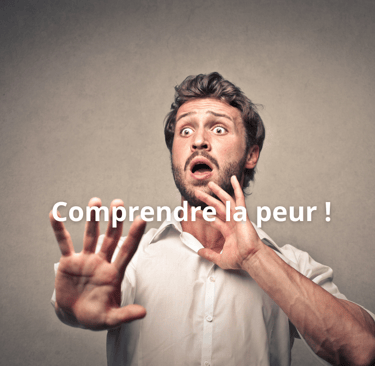 Comprendre la peur