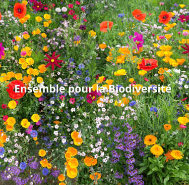 Ensemble pour la Biodiversité