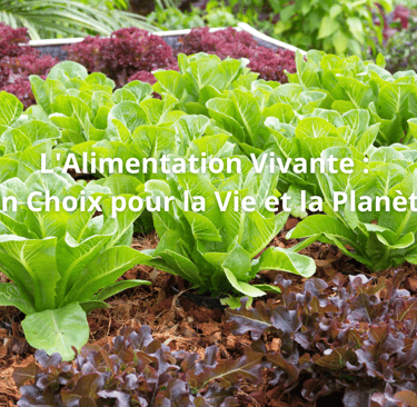 alimentation vivante