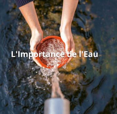 L'Importance de l'Eau