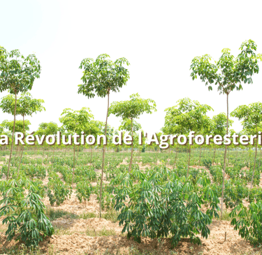 La Révolution de l'Agroforesterie