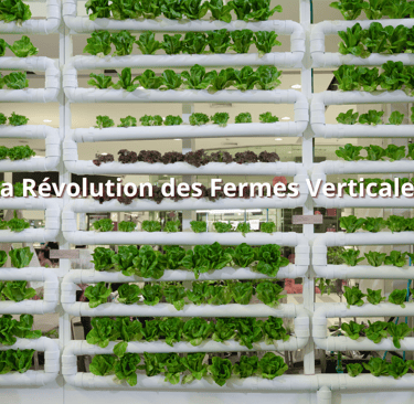 La Révolution des Fermes Verticales