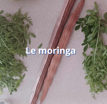 Le moringa