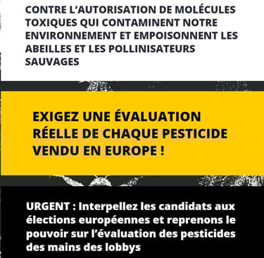 elections europeennes