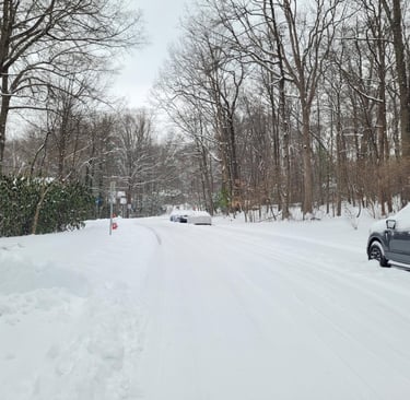 Snow and ice damage to bollards and striping