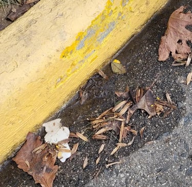 Curb damage after winter snow