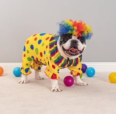 Fitwarm Dog Clothes