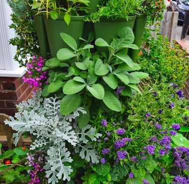 After 3 months, plants growing beautifully in a GreenStalk planter
