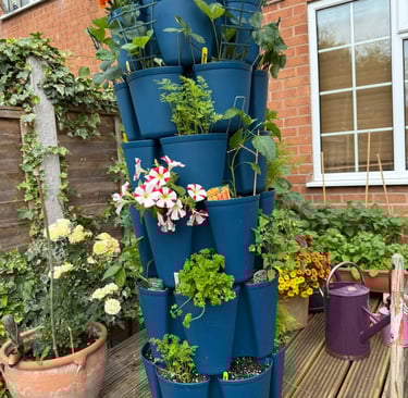 Blue Beauty – A pop of colour in any space