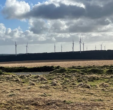 View of the moorland with wind turbines on the horizon
