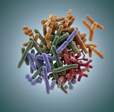 A colorful 3D rendering of diverse probiotic bacteria species and gut microbiome microorganisms.
